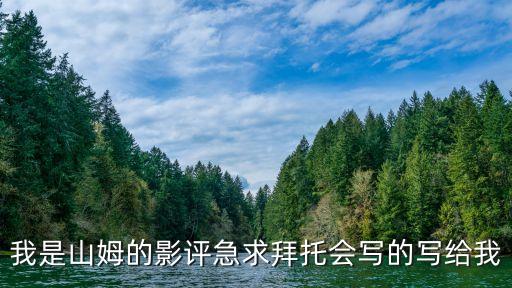 我是山姆觀后感，我是山姆 你對這部電影有什么觀后感嗎