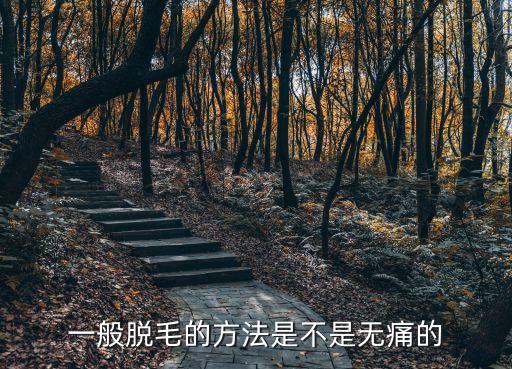 一般脫毛的方法是不是無痛的