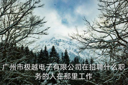 廣州極越科技有限公司，廣州市極越電子有限公司是做什么的