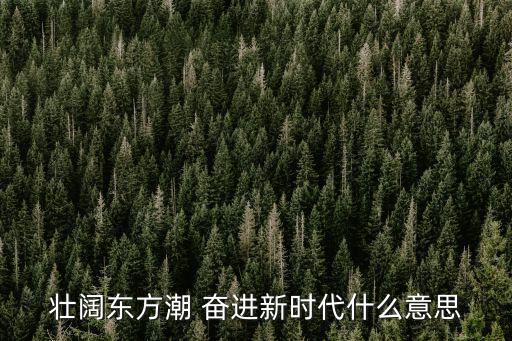 奮進新時代，奮進新時代勇做追夢人理解