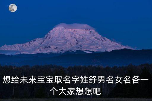 想給未來寶寶取名字姓舒男名女名各一個大家想想吧
