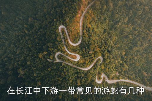 游蛇，在長江中下游一帶常見的游蛇有幾種