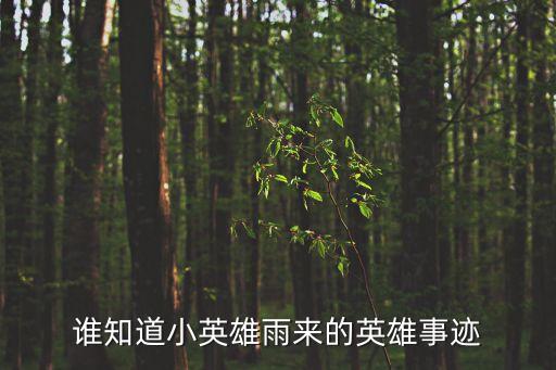 誰知道小英雄雨來的英雄事跡