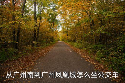 從廣州南到廣州鳳凰城怎么坐公交車