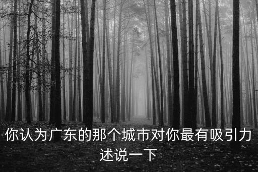 你認為廣東的那個城市對你最有吸引力述說一下