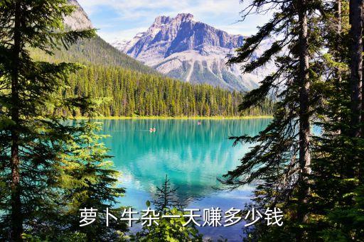 蘿卜牛雜一天賺多少錢