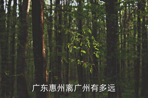 廣州番禺區去惠州三棟需要隔離嗎，廣東惠州離廣州有多遠