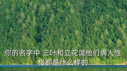 立花瀧，你的名字中 三葉和立花瀧他們倆人性格都是什么樣的