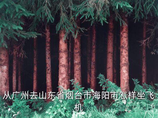 蓬萊廣州飛機，廣州到煙臺坐飛機要多少錢的多長時間