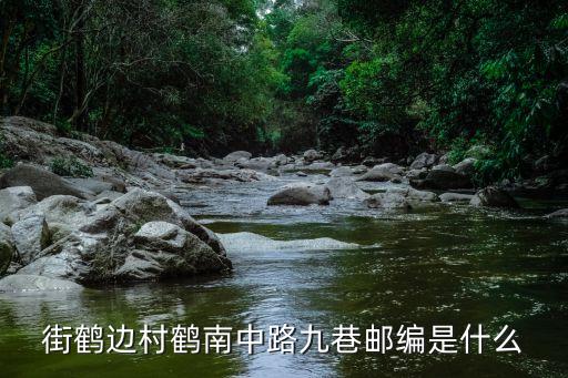 街鶴邊村鶴南中路九巷郵編是什么