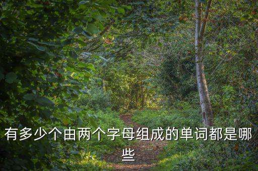 有多少個(gè)由兩個(gè)字母組成的單詞都是哪些