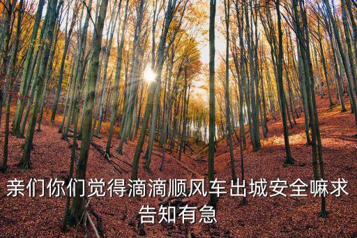 親們你們覺得滴滴順風(fēng)車出城安全嘛求告知有急