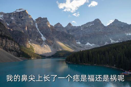 我的鼻尖上長了一個痣是福還是禍呢