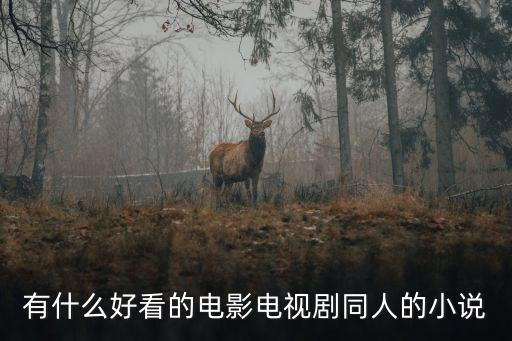 有什么好看的電影電視劇同人的小說