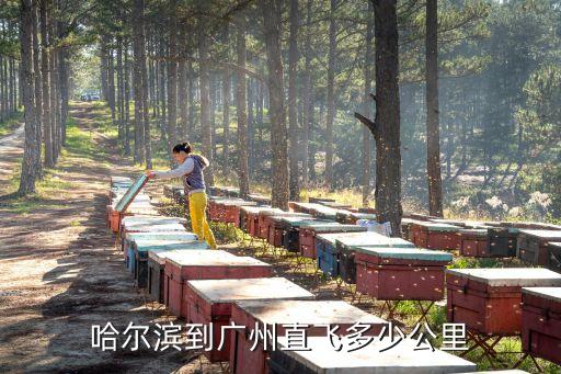 廣州至哈爾濱空中直線距離，哈爾濱到廣州直飛多少公里