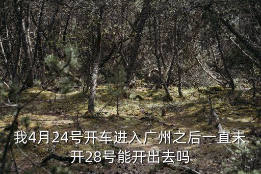 我4月24號開車進入廣州之后一直未開28號能開出去嗎
