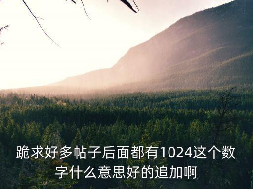 跪求好多帖子后面都有1024這個數字什么意思好的追加啊