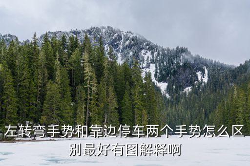 左轉(zhuǎn)彎手勢(shì)，左轉(zhuǎn)彎信號(hào)與示意路邊停車的手勢(shì)有什么不同