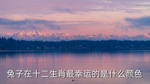 兔子在十二生肖最幸運的是什么顏色