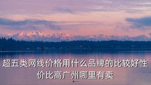 超五類網(wǎng)線價格用什么品牌的比較好性價比高廣州哪里有賣