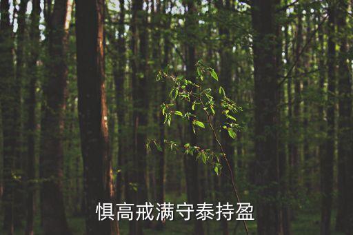 持盈，心恬澹于守髙意無(wú)為于持盈是什么意思