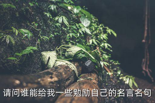 鼓勵自己的名言，關于勉勵自己的名言