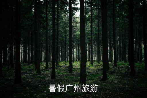 2021暑假能去廣州玩嗎，暑假?gòu)V州旅游