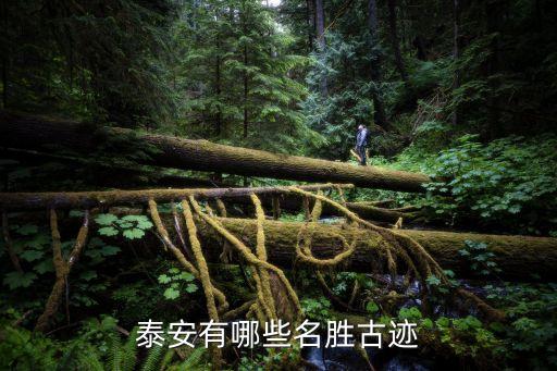 泰安旅游景點推薦，泰安有什么好玩的地方