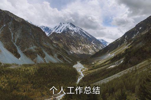 個人工作總結