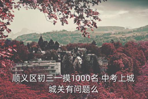 廣州中考1000名，急求08廣州中考分數排名