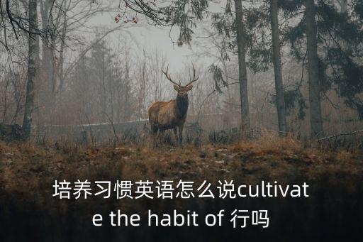 養成的英文，養成良好的學習習慣用英語怎么說