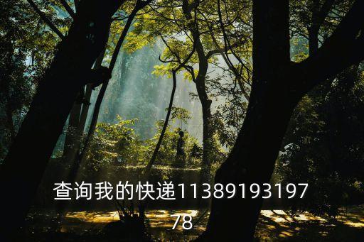 查詢我的快遞1138919319778
