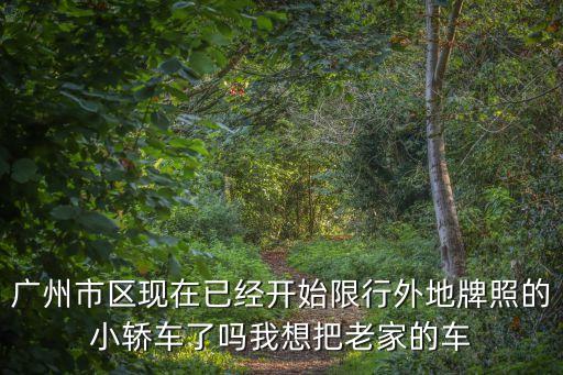 廣州市區現在已經開始限行外地牌照的小轎車了嗎我想把老家的車