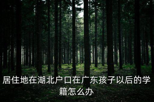 廣州滯留在湖北的學生，居住地在湖北戶口在廣東孩子以后的學籍怎么辦