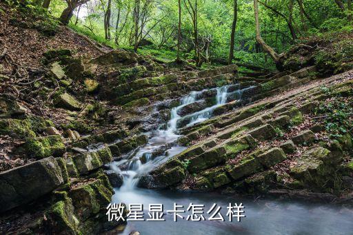 微星顯卡怎么樣，微星的顯卡怎么樣
