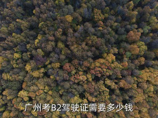 廣州大車駕照考試費用，考大車駕照需要多少錢啊