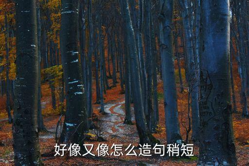 好像又像造句，好象又像造句