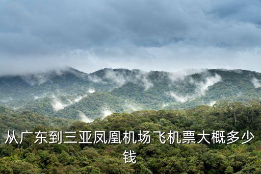 從廣東到三亞鳳凰機場飛機票大概多少錢