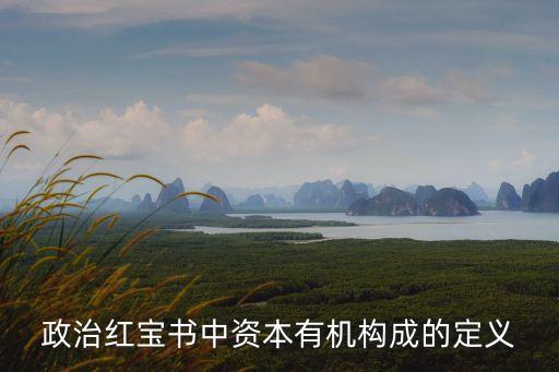政治紅寶書中資本有機(jī)構(gòu)成的定義