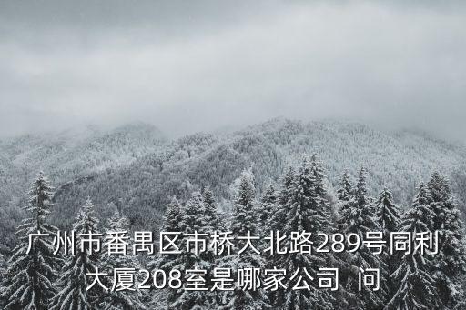 廣州市番禺區市橋大北路289號同利大廈208室是哪家公司  問