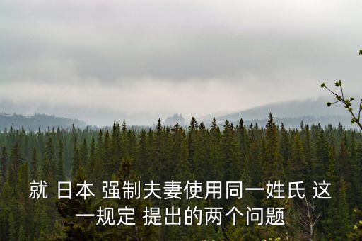 就 日本 強制夫妻使用同一姓氏 這一規定 提出的兩個問題