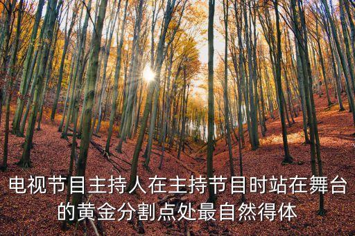 主持人站姿，主持人應(yīng)該注意什么