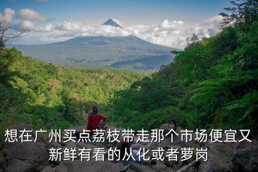 想在廣州買點荔枝帶走那個市場便宜又新鮮有看的從化或者蘿崗