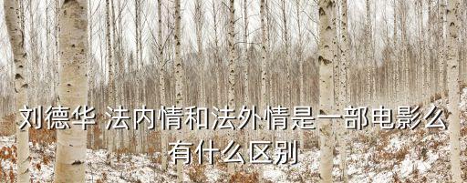 法內情大結局，劉德華 法內情和法外情是一部電影么有什么區別