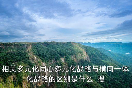 相關多元化同心多元化戰略與橫向一體化戰略的區別是什么  搜