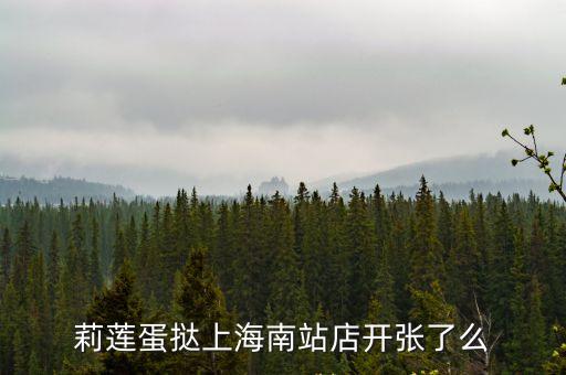 莉蓮蛋撻，莉蓮蛋撻上海南站店開張了么