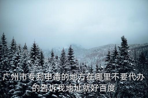 廣州市專利申請的地方在哪里不要代辦的告訴我地址就好百度
