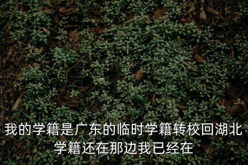 我的學籍是廣東的臨時學籍轉校回湖北學籍還在那邊我已經在