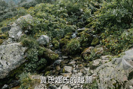 賈季，賈氏姓氏的起源