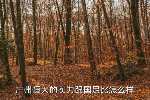 廣州恒大的實(shí)力跟國足比怎么樣